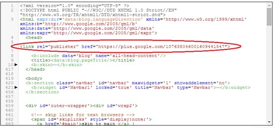 Google Publisher Code