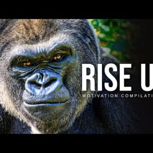 RISE UP - Best Motivational Speech Video Compilation | 30-Minutes of the Best Motivation